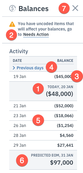 How does Daily Bank Balance work